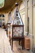 tylers museum 10-2023 9220